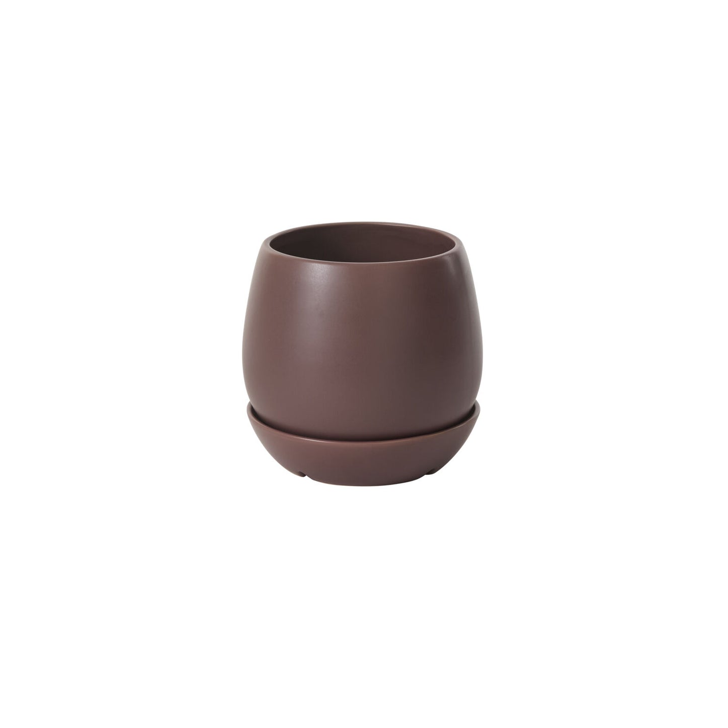 Davos Pot