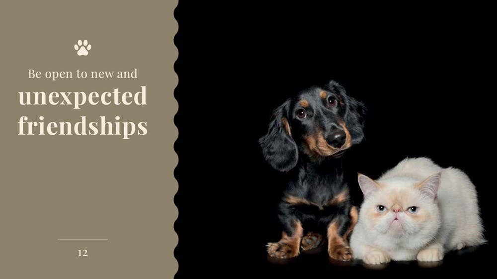 Wisdom Of Dogs:  The Adorable And Funny New Book