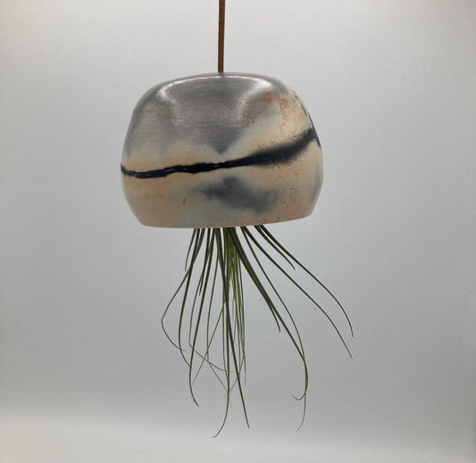 Medusa - Tillandsia Holder