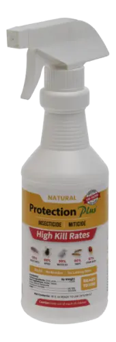 Protection Plus