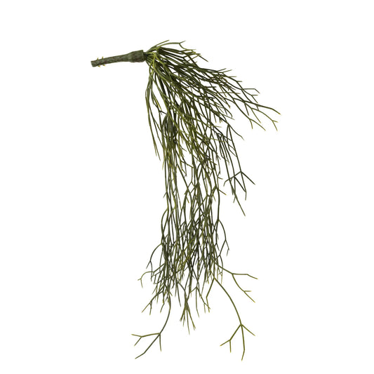 Faux Rhipsalis