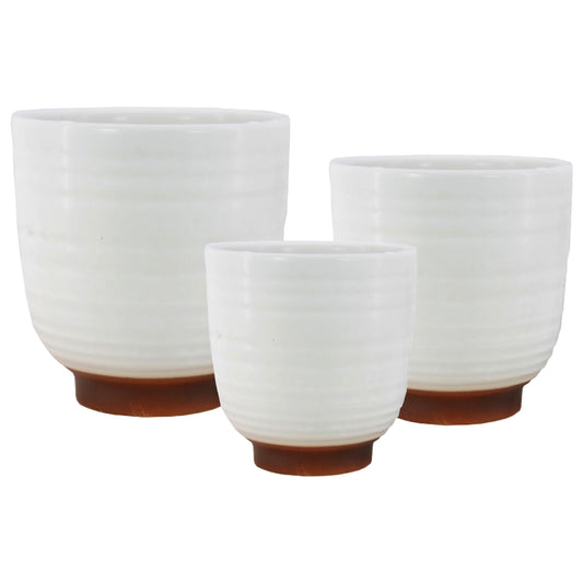 Eggshell Planter