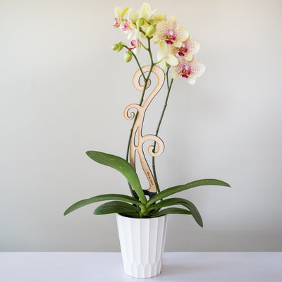 Wooden Leaf Plant Trellis