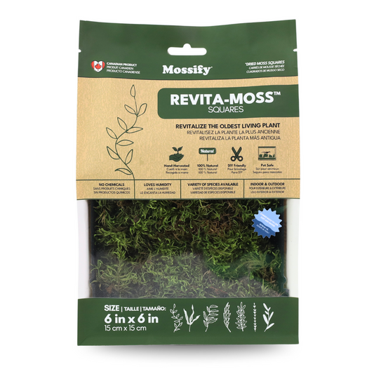 Revita-Moss Squares