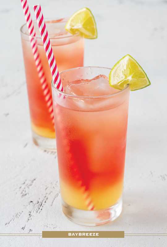 Vodka Cocktail Cards A–Z by Adams Media