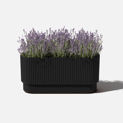 Damon Planter