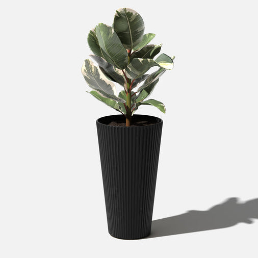 Damon Planter