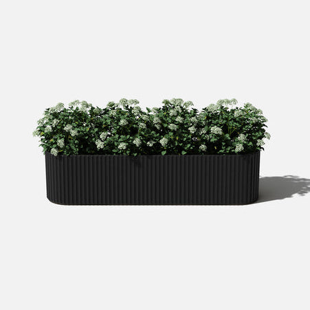 Damon Planter