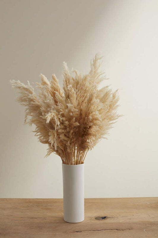 Dried Pampas Grass