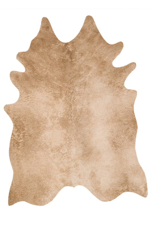 A picture of Loloi's Grand Canyon rug, in style GC-09, color Tan
