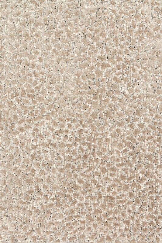 A picture of Loloi's Juneau rug, in style JY-02, color Ash / Taupe