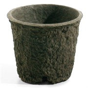 Compostable Pulp Planters