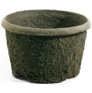 Compostable Pulp Planters