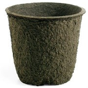 Compostable Pulp Planters