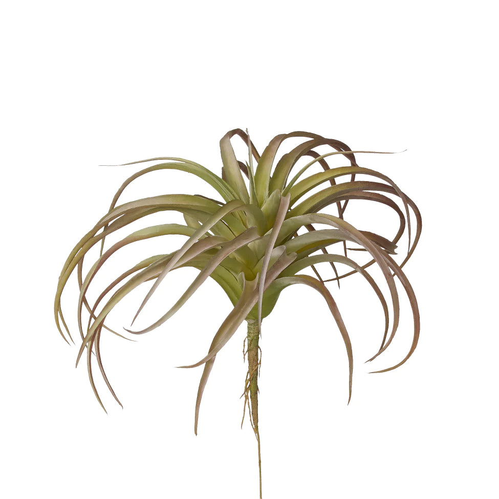 faux air plant Faux Air Plant Stem 11" / Green/Grey