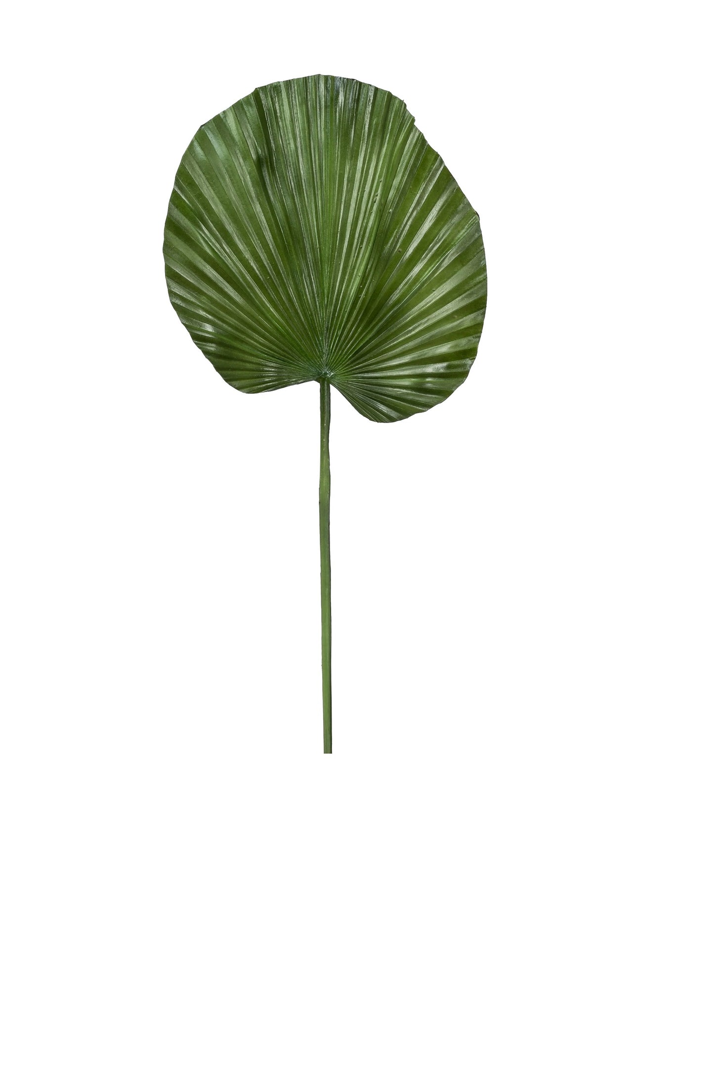Faux Fan Palm Leaf