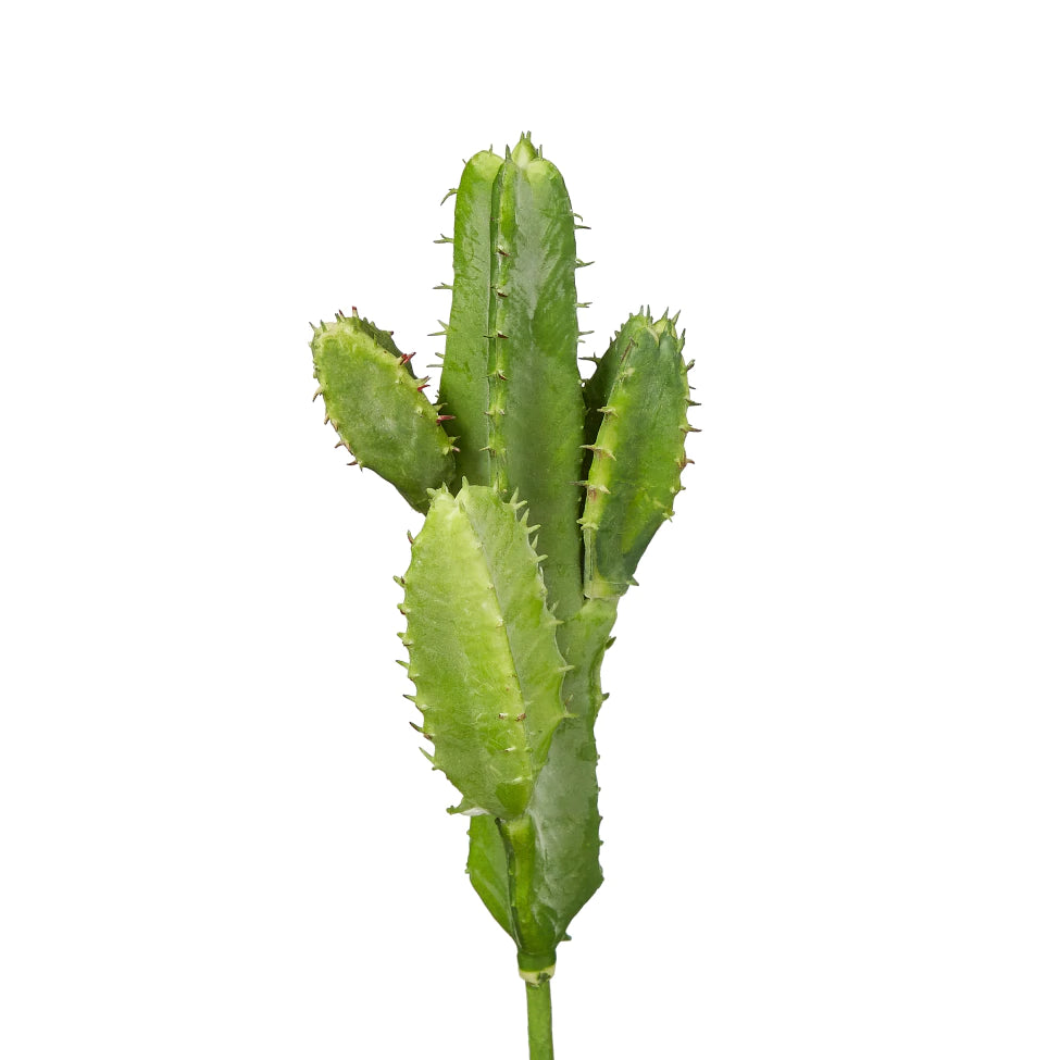 Faux Cactus Stem