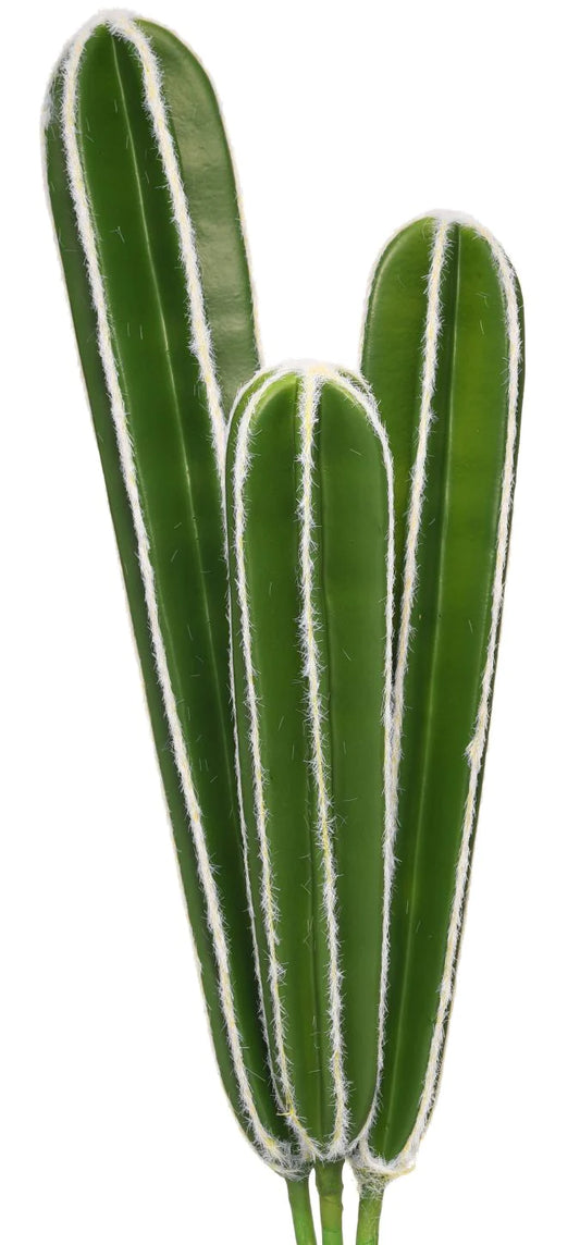 Faux Peruvian Cactus Stems