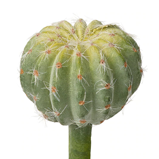Faux Ball Cactus Stem