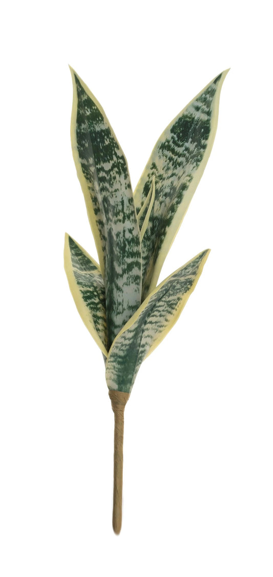 Faux Sansevieria Stem